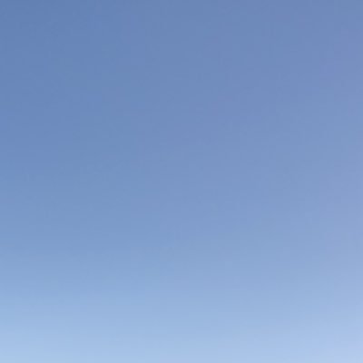 ___dieter00's profile picture. 自分磨き