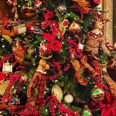 37_JBM's profile picture. 