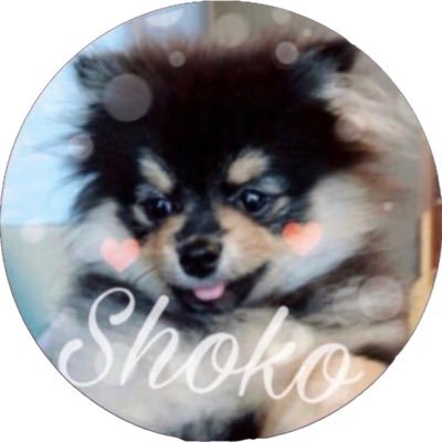 Shokora 216 19 0706 Musicday 記念すべきスペシャル番組 Boy With Luv 頑張ったみんなを見て 抱きしめたい思いです Musicday Musicdaybts Bts Twt Bts Lights 防弾少年団 バンタン Lights Boy With Luv Bts T Co
