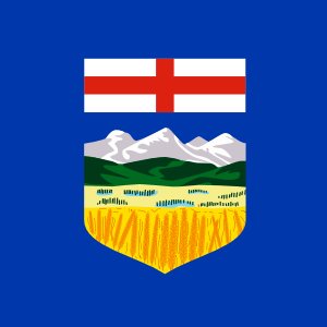 New Years Resolution to tweet everyday in 2019 about what the Alberta NDP has done for Albertans. (Until the provincial election is held in Alberta) #abpoli