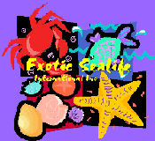 exoticsealife's profile picture. Collectors, Importers and Distributors of Marine Fish, Inverts and Corals from the Atlantic, Caribbean and the World.