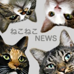 「ねこねこNEWS」https://t.co/OHjG45UTF3の更新情報。Facebookページ：https://t.co/5c3HTzDDyo