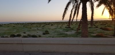 gMzqVCN3VmrcE44's profile picture. 