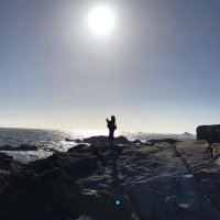 maripp (@kiyomari_maripp) 's Twitter Profile
