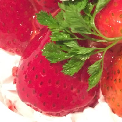 桜木さんのプロフィール画像