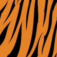 Marc Huffer (@marc_edy) 's Twitter Profile