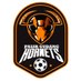 Pasir Gudang Hornets FC (@pghornetsfc) Twitter profile photo