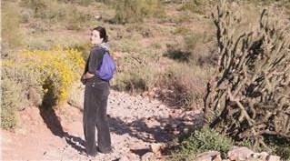 pynder's profile picture. Self-published an Amazon bestseller ("Wolves Among Us") - working on “Cults Among Us” (and short stories)