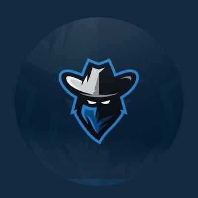I am the co owner/co founder of an up and coming esports team called Dauntless esports we are currently working on teams for many esport games