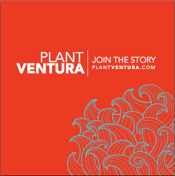 plantVENTURA's profile picture. Partner. Pray. Promote. God’s story. Our lives. His church. Trusting Him on our way to Ventura, CA. http://t.co/O7uuvyMukb