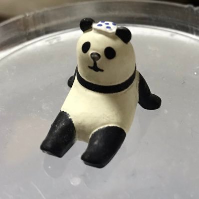 ShihomiWada's profile picture. 看護師 急性期オペ室→健診（パート）→透析室→整形外来→一般混合病棟→回復期リハ病棟→オペ室＋中材→外来＋内視鏡→回復期リハ病棟→外来＋健診➕内視鏡➕中材➕ICM←定年退職してやったぜぇ〜😁→有料老人ホームで自分が身体を壊し、しばらく休んで今訪問看護♪ ポケ活やってます🤗ガチです