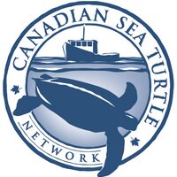 Canadian Sea Turtle Network (@canadaseaturtle) 's Twitter Profile Photo