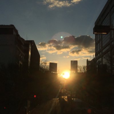 kainii8773's profile picture. 誰も見てないと思って好き勝手呟く
