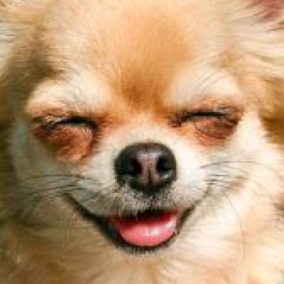 メイカクソコラ振り返りbotさんのプロフィール画像