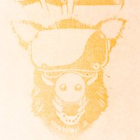 shangdao_PG (@shangdao_pg) 's Twitter Profile