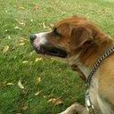 Abbey Thompson - @CrabbyAbbeyx - Twitter