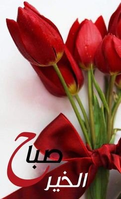 gx5Ogup6Y3tMWtt's profile picture. 