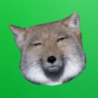 ゅ ぅ ゅ ぅ (@bugibugioowooah) 's Twitter Profile Photo ゅ ぅ ゅ ぅ (@bugibugioowooah) 's Twitter Profile Photo
