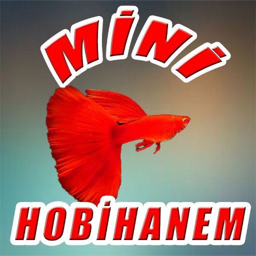 MİNİ HOBİHANEM