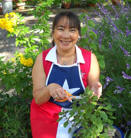 LoveYourBasil's profile picture. Love Your Basil! I will show you how to Grow, Care For, and Cook with your Basil.