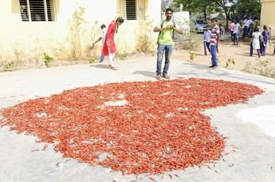 Anilchari5's profile picture. 