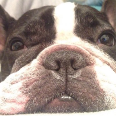 PumpkinRnk's profile picture. 