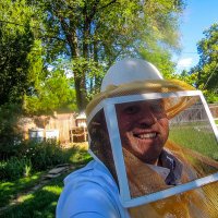 Antonio, las abejas y el jardín(@Poptun) 's Twitter Profile Photo