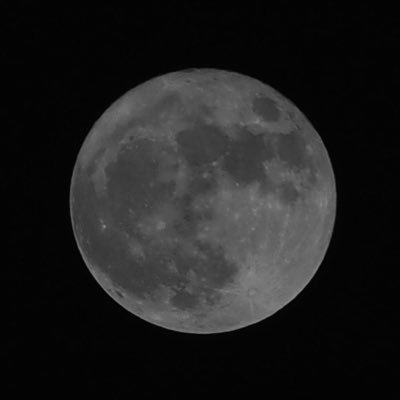 NovoaJoseR's profile picture.