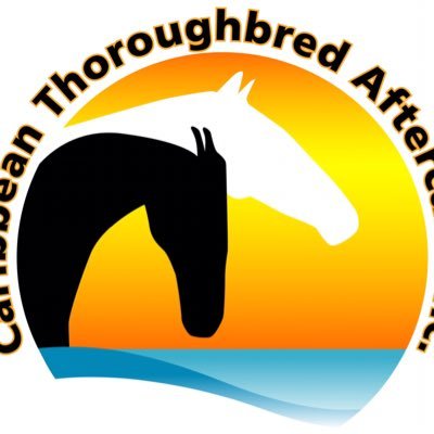 Caribbean Thoroughbred Aftercare, Inc. (CTA) is a not for profit 501(c)(3) helping thoroughbreds in Puerto Rico & USVI transition to good aftercare homes❤️