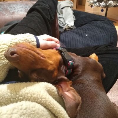 Love_from_luna's profile picture. 