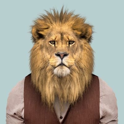 ShireSokhte's profile picture. من ز برای این سخن شهره عاشقان شدم