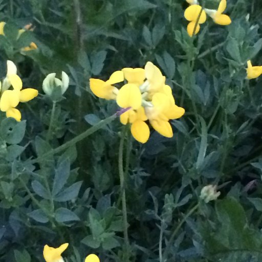 BaptistEcoTeam's profile picture. The St. John the Baptist Eco Team