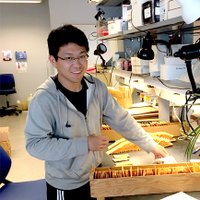 Zihao Zheng (@zhzheng92) Twitter profile photo