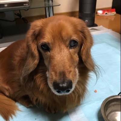 c2HqrNnr4smFx0h's profile picture. 