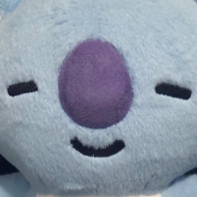 Koya’s big adventures! ⇢not affiliated with BTS or BT21 ⇠