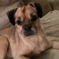 Blake Bourgeois (@micropush) 's Twitter Profile