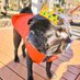 カズミン (@5ljwip1zr91jbjw) Twitter profile photo カズミン (@5ljwip1zr91jbjw) Twitter profile photo