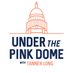 Under the Pink Dome Profile picture