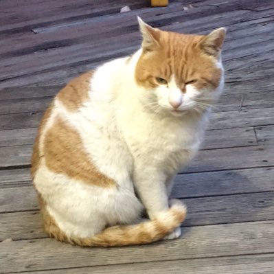 lobsterdeathgod's profile picture. can u belive this?? ?