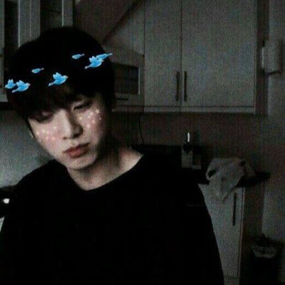 army, blink, camilizer, arianator and more 🖤 you can't stop me lovin my sellf 🖤