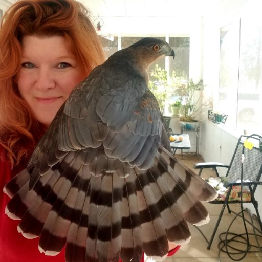 I'm a falconer. I write. I've pubbed some books I would love for you to read. The parrots heckle me. The hawk tolerates me. The dogs love me. Send tequila.