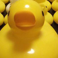 ペンギン1号 (@nekoken8848) 's Twitter Profile