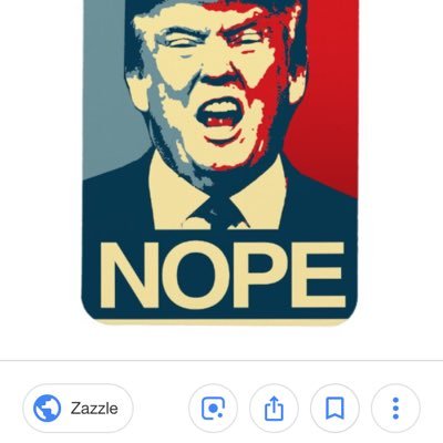 Donald Trump should be removed from office somehow and Democrats should fight back not only by resisting but by making solutions and being bipartisan.