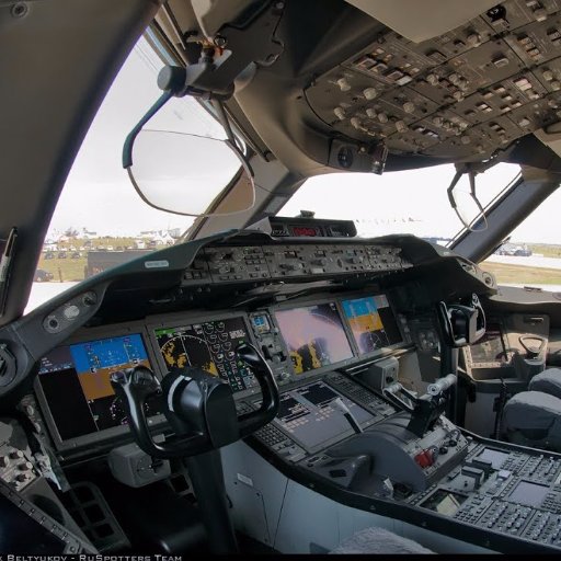 American Airlines Captain Based in ORD: Type rated in B787, B777, B767, B757, DC-9,  motorcycles, camping, handsome and all around nice guy...Modest too!