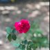 namhuynguyen (@namhuynguyen1) Twitter profile photo namhuynguyen (@namhuynguyen1) Twitter profile photo