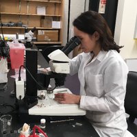 Dr. Kanani K. M. Lee (she/her) (@kananikmlee) 's Twitter Profile