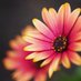 عاشقة الورد..!!💐 (@vomxugk35audtx4) Twitter profile photo عاشقة الورد..!!💐 (@vomxugk35audtx4) Twitter profile photo