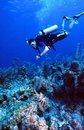 vacation to Bali with cheap price
for more information, please visit our website .
http://t.co/25ZRz1WKJE
