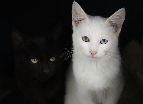 beautiful_yujin's profile picture. 독서/음악감상/전시회/그림그리기/사진을 좋아하는 여대생.
사람을 좋아하는 밝은 성격 +_+ 고양이도 좋아함 !!