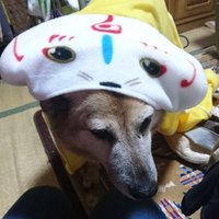 風華雪兎 (@no4yukito) 's Twitter Profile